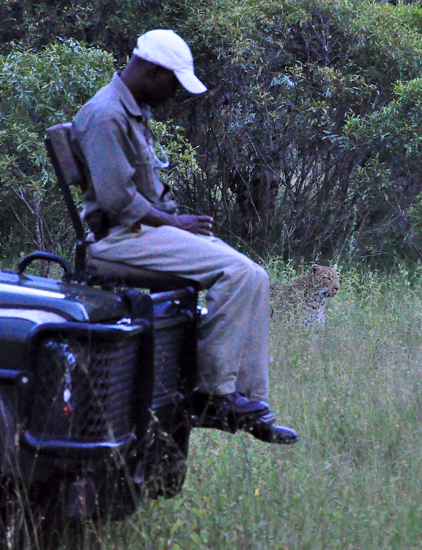 Melanie Heinrich - travel images - Lion Sands Private game reserver Hazyview